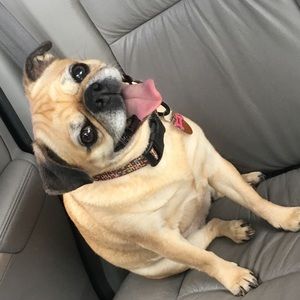 Meet your Posher, Laura